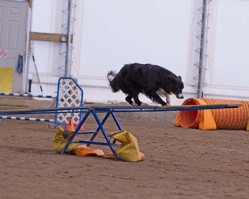 Teeter